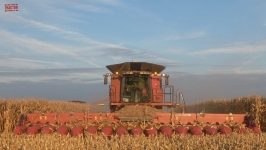 3,000 Acre Corn Field Harvested by CASE IH 9250 Combines